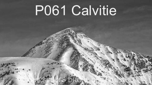P061 Calvitie
