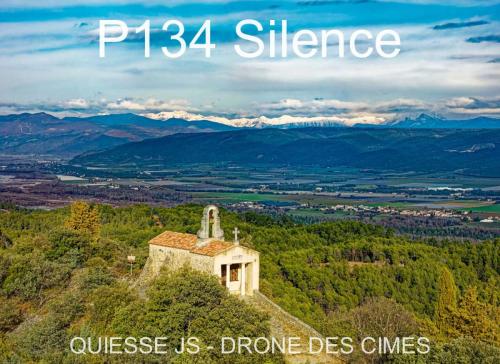 P134 Silence