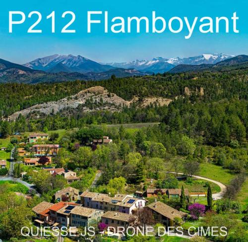 P212 Flamboyant