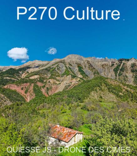 P270 Culture