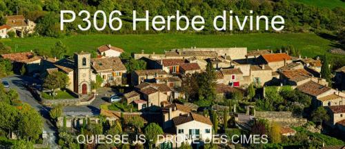 P306 Herbe divine