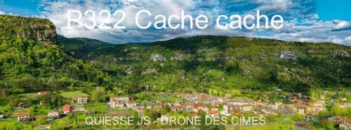 P322 Cache cache