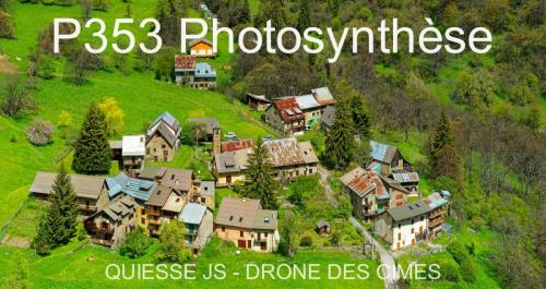 P353 Photosynthèse