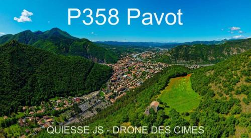 P358 Pavot