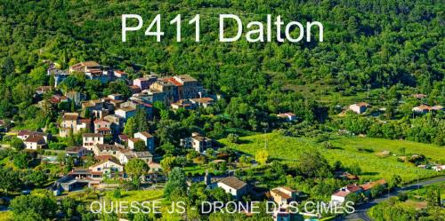 P411 Dalton