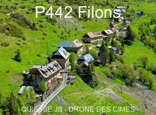 P442 Filons