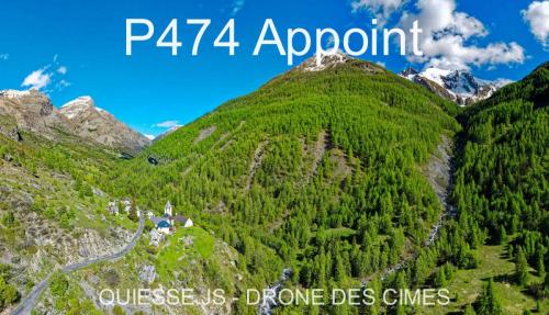 P474 Appoint