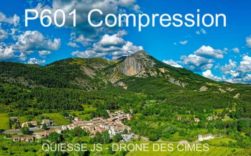 P601 Compression
