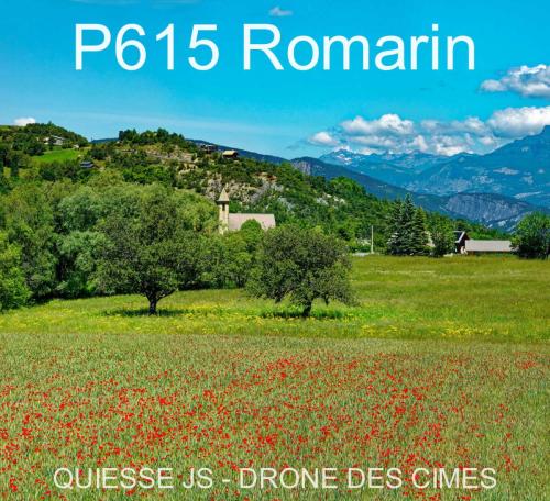 P615 Romarin