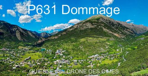 P631 Dommage
