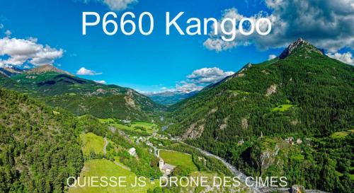 P660 Kangoo