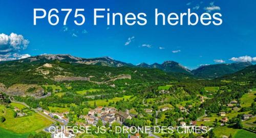 P675 Fines herbes