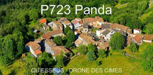 P723 Panda