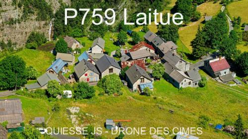 P759 Laitue