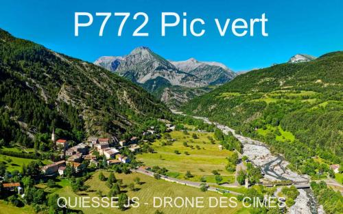 P772 Pic vert