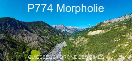 P774 Morpholie