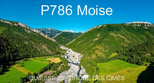 P786 Moise