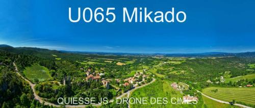 U065 Mikado