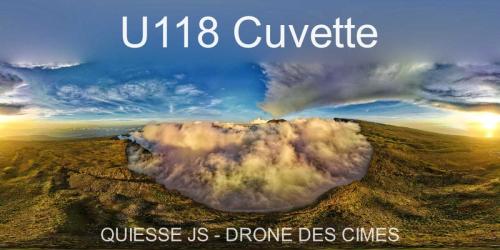 U118 Cuvette