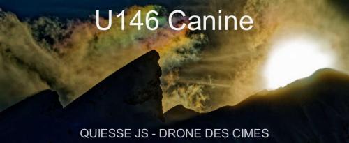 U146 Canine