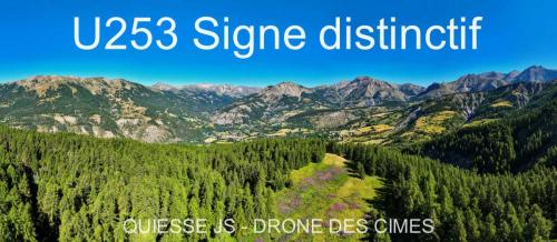 U253 Signe distinctif