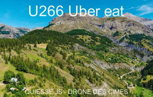 U266 Uber eat