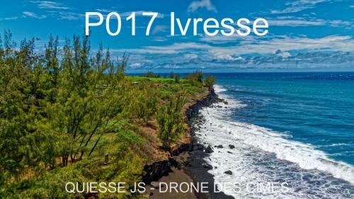 P017 Ivresse