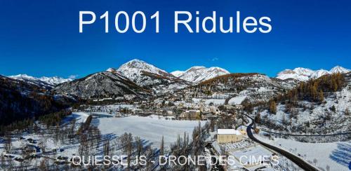 P1001 Ridules