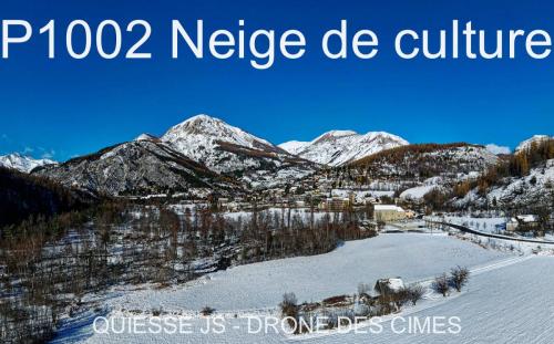 P1002 Neige de culture