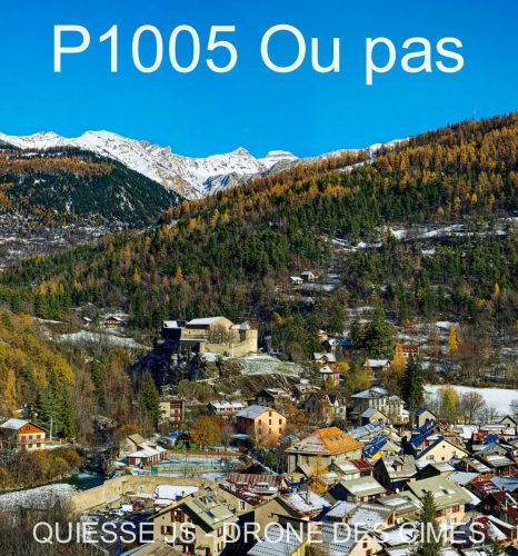 P1005 Ou pas