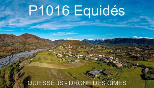 P1016 Equidés