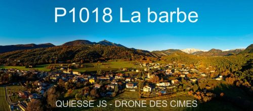 P1018 La barbe