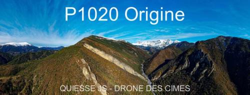 P1020 Origine