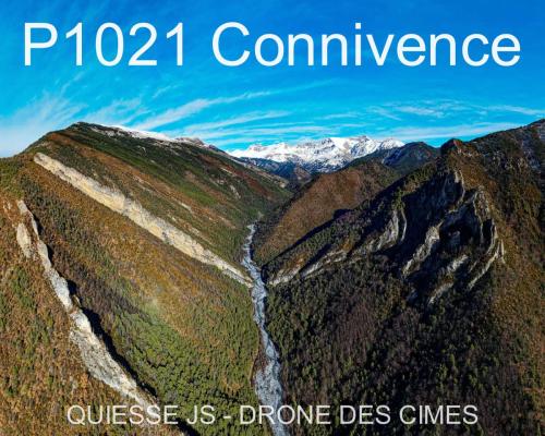 P1021 Connivence