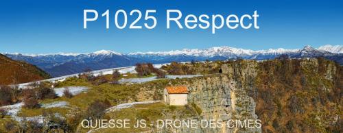 P1025 Respect