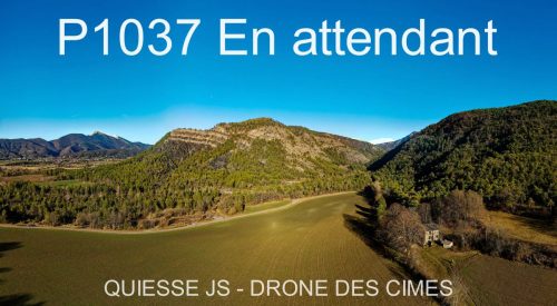 P1037 En attendant