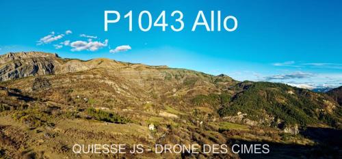 P1043 Allo