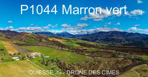 P1044 Marron vert