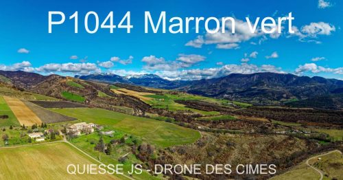 P1044 Marron vert