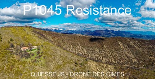 P1045 Resistance