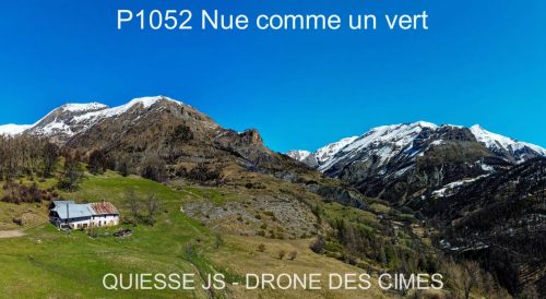 P1052 Nue comme un vert