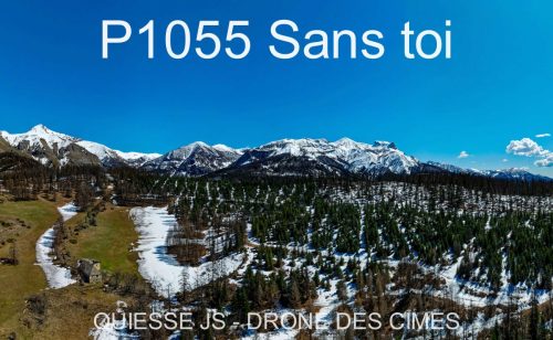 P1055 Sans toi
