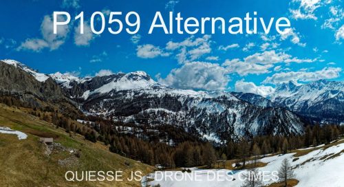 P1059 Alternative