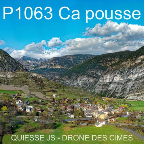 P1063 Ca pousse