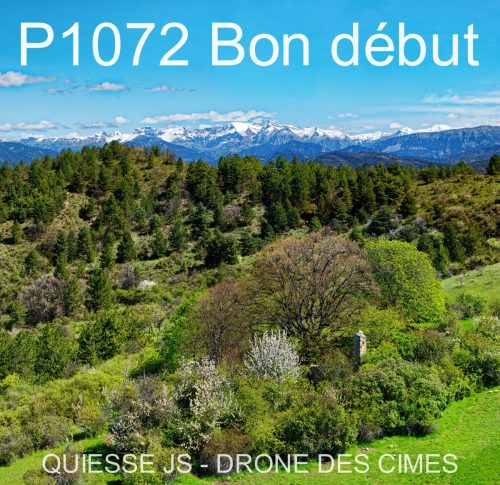 P1072 Bon début