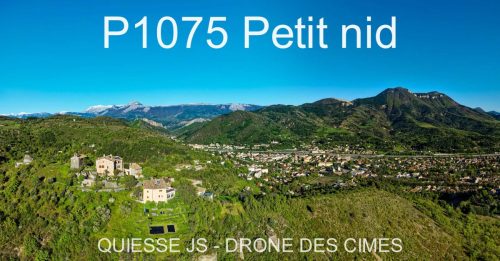 P1075 Petit nid