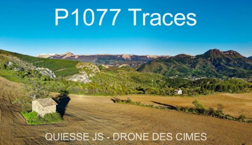 P1077 Traces