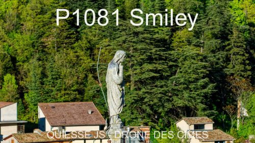 P1081 Smiley