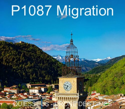 P1087 Migration