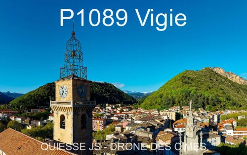 P1089 Vigie